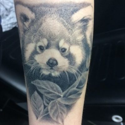 Raccoon Black & White/Grey Realism Tattoo